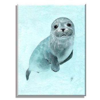 Leinwand 40 x 30 cm Keilrahmen Canvas-Leinen kleiner Seehund DK25